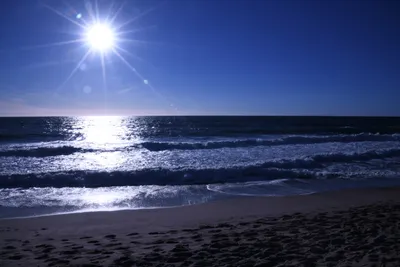 DSC_0385 (Large).JPG